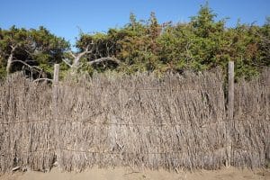 Clôtures en brande de bruyère 