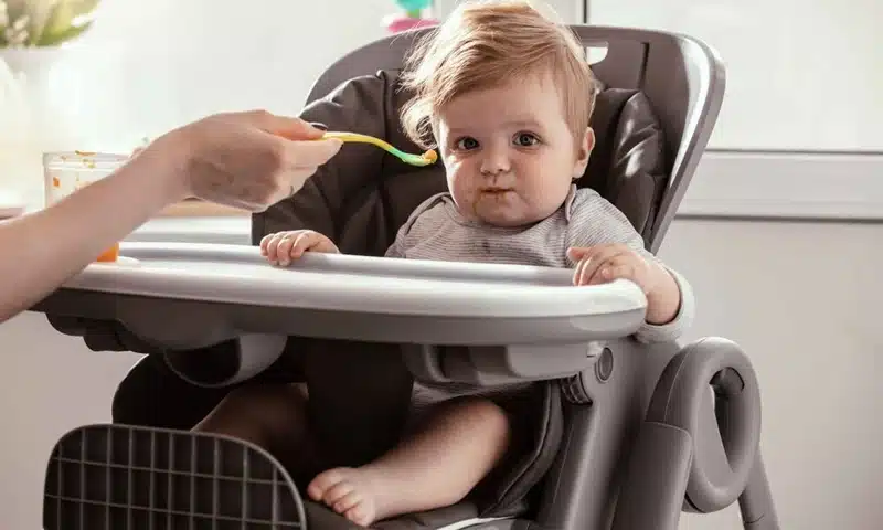 Chaise haute transat confort et polyvalence pour les plus petits