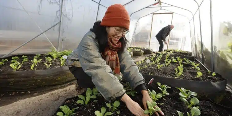 Les meilleurs légumes à faire pousser dans votre serre de jardin