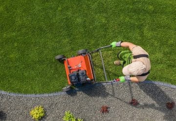 Pourquoi recourir à un professionnel pour l’entretien de votre jardin
