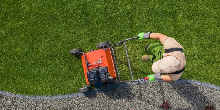 Pourquoi recourir à un professionnel pour l’entretien de votre jardin