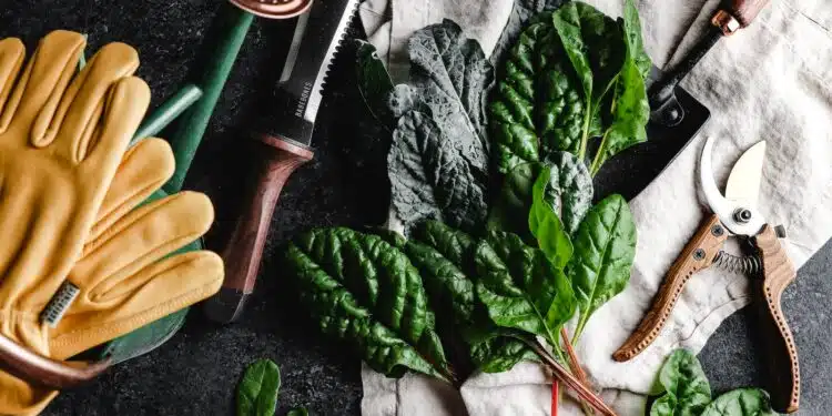 green leaves beside brown wooden rolling pin