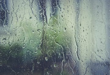 Envisagez au plus vite le traitement contre l'humidité