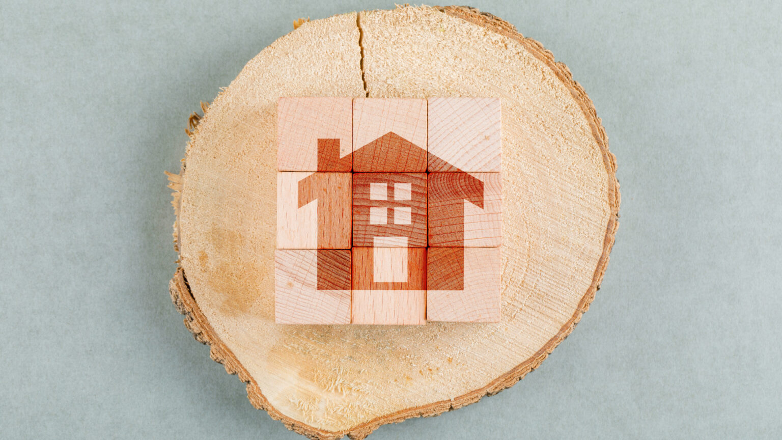L'importance de faire un diagnostic mérule avant une vente immobilière