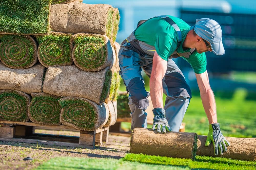 recourir à un professionnel pour l’entretien de votre jardin