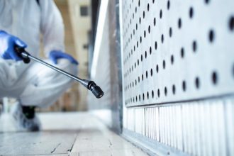 Rongeurs dans les bâtiments : pourquoi la dératisation professionnelle s'impose ?