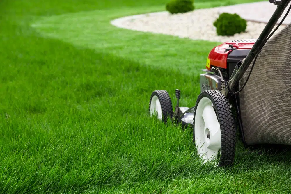 trouver une tondeuse pour votre jardin