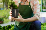 Trouvez toutes les astuces sur un blog de jardinage pour avoir un magnifique extérieur