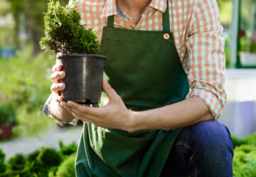 Trouvez toutes les astuces sur un blog de jardinage pour avoir un magnifique extérieur