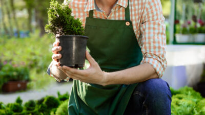 Trouvez toutes les astuces sur un blog de jardinage pour avoir un magnifique extérieur