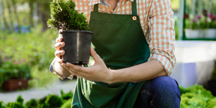 Trouvez toutes les astuces sur un blog de jardinage pour avoir un magnifique extérieur